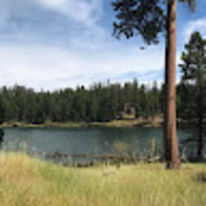 Meet your Posher, Monica